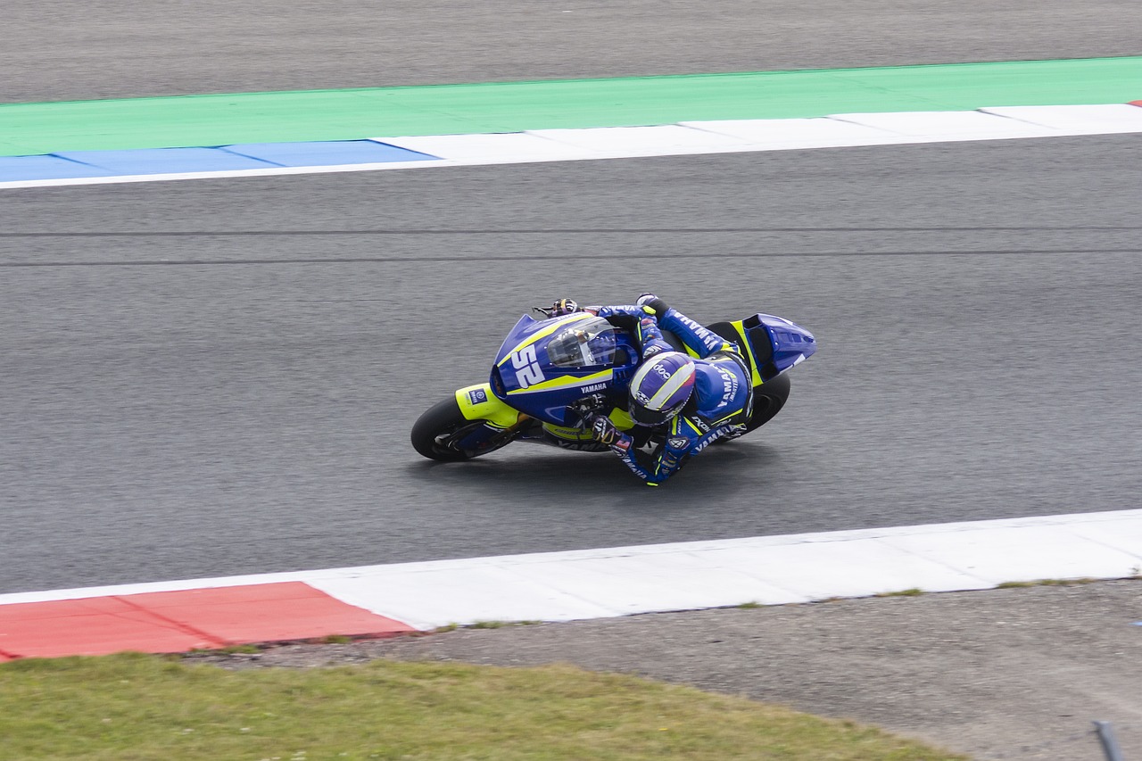 在于他们的 在于他们的