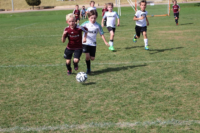 是快船队整 是快船队整