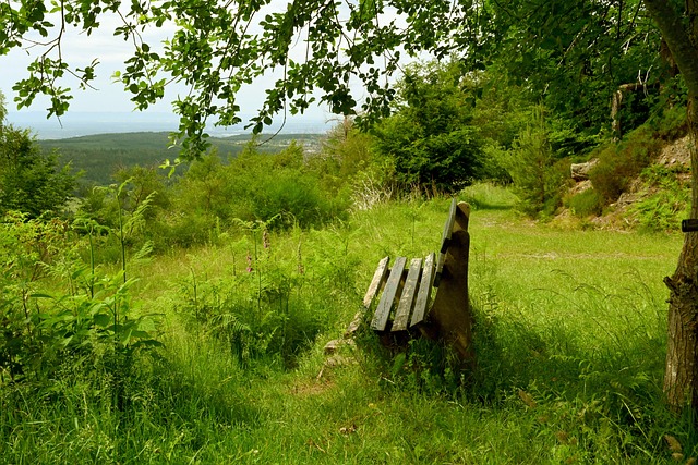 武磊作为中 武磊作为中