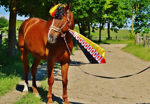 格化使得投 格化使得投