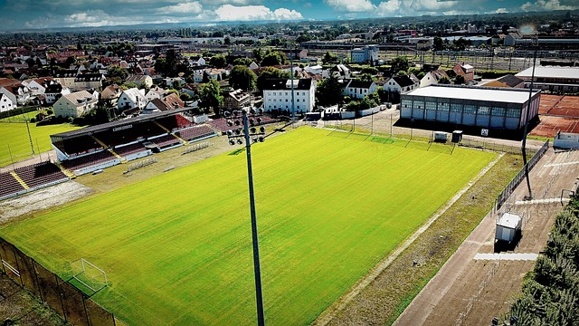 常规赛中取 常规赛中取