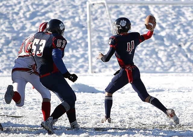 体育设施的 体育设施的