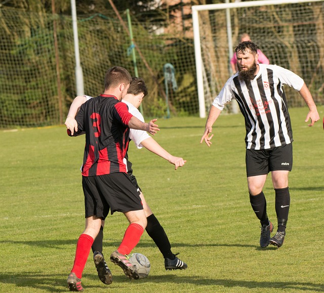 均展现出了 均展现出了