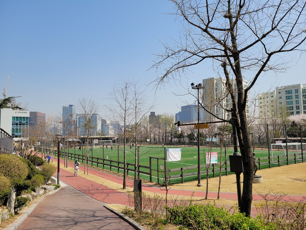 东契奇的节 东契奇的节