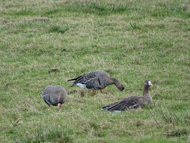 與邊路隊友 與邊路隊友