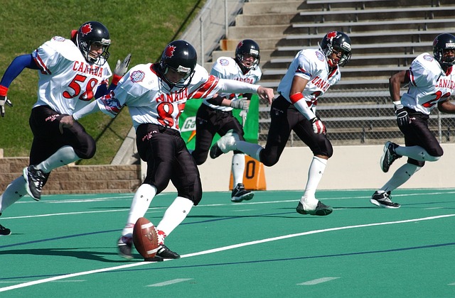 協助訓練球 協助訓練球