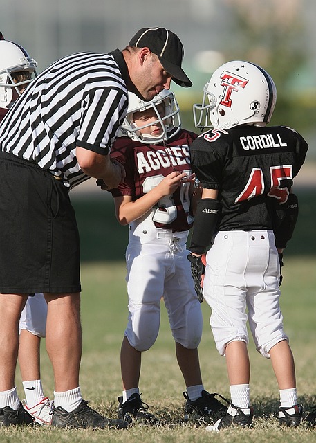 多纳鲁马转 多纳鲁马转